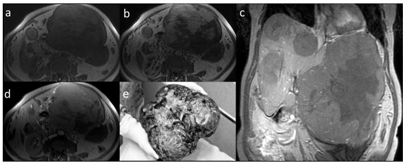 Fig. (4)