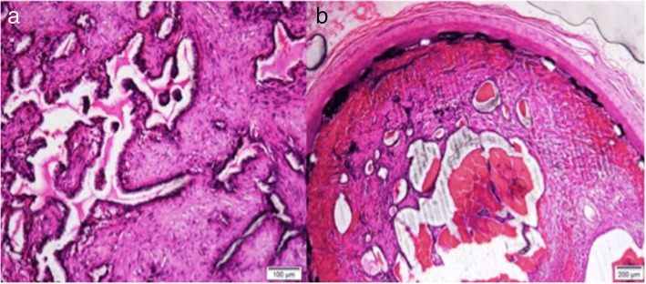 Fig. 8