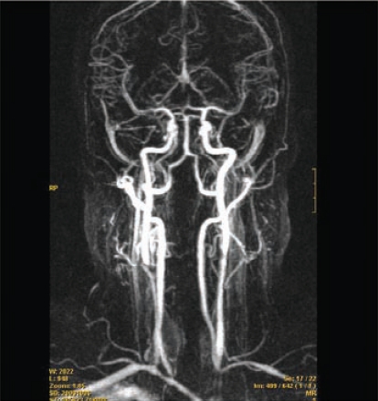 Fig. (6).