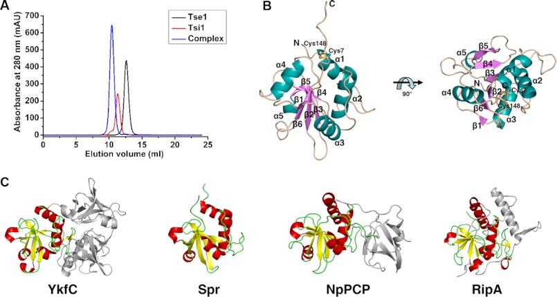 FIGURE 1.