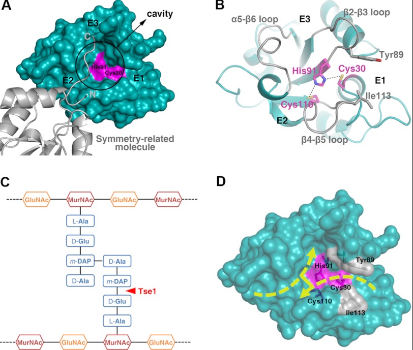 FIGURE 3.