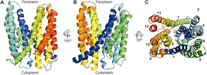 Fig. 3