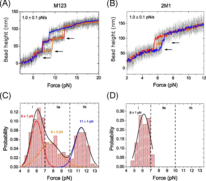 FIGURE 2: