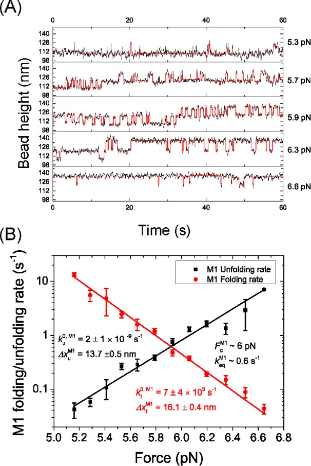 FIGURE 3: