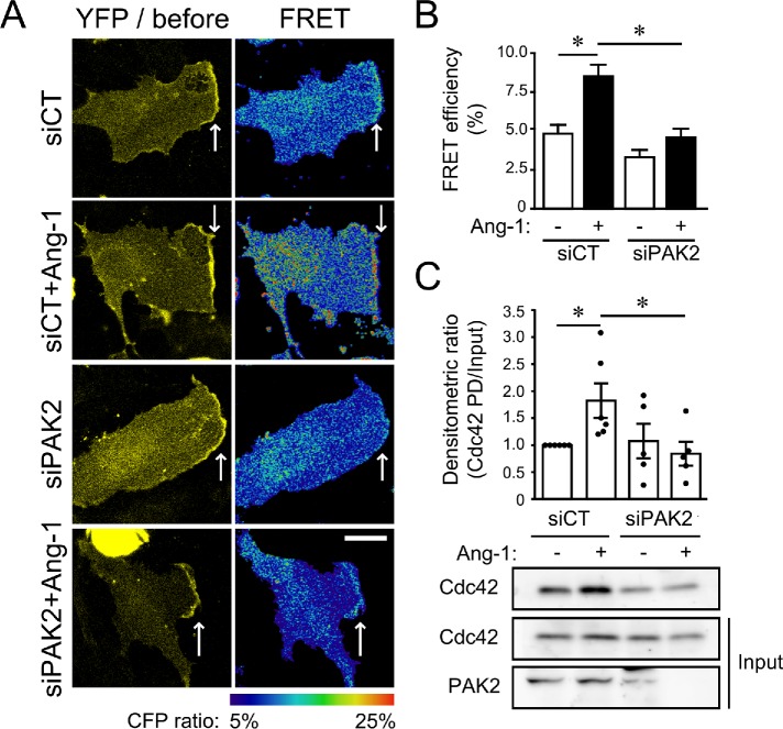 FIGURE 2: