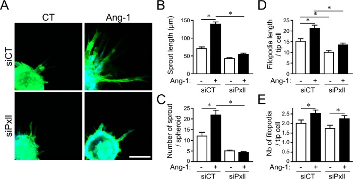 FIGURE 6: