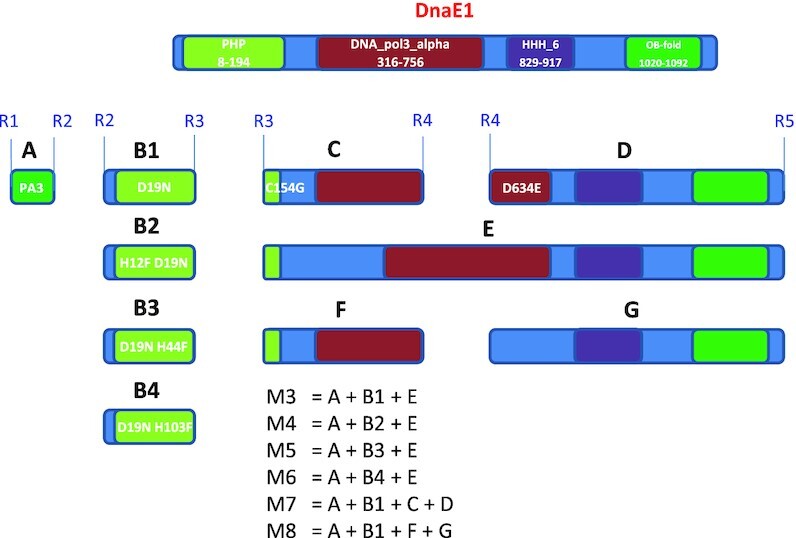 Figure 3.