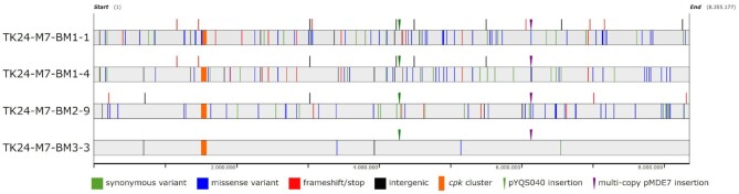 Figure 4.