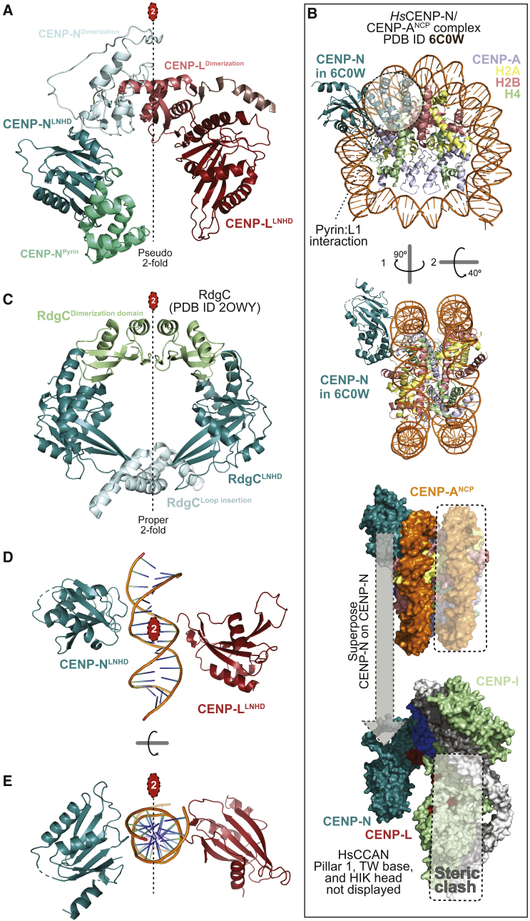 Figure 4