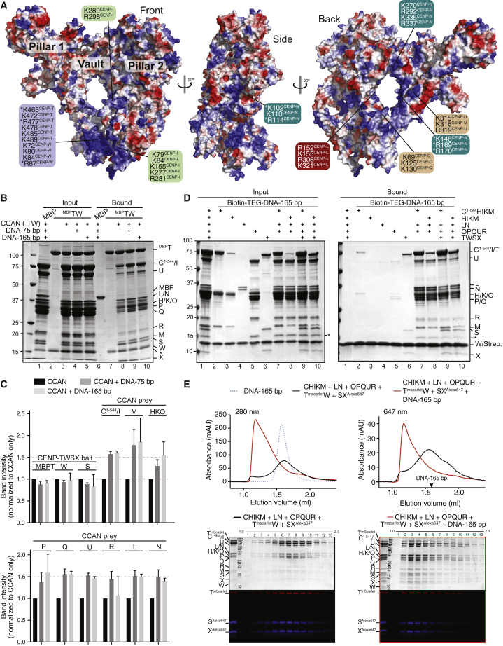 Figure 3