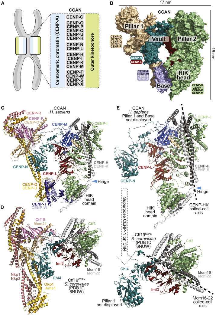 Figure 1