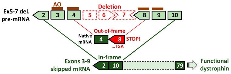 Figure 6