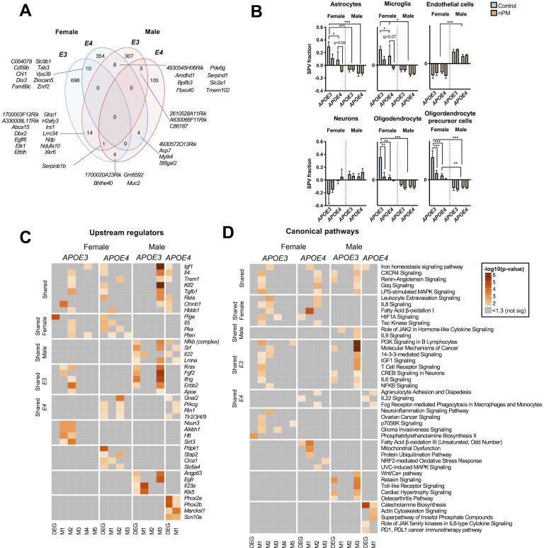 Figure 1—figure supplement 3.