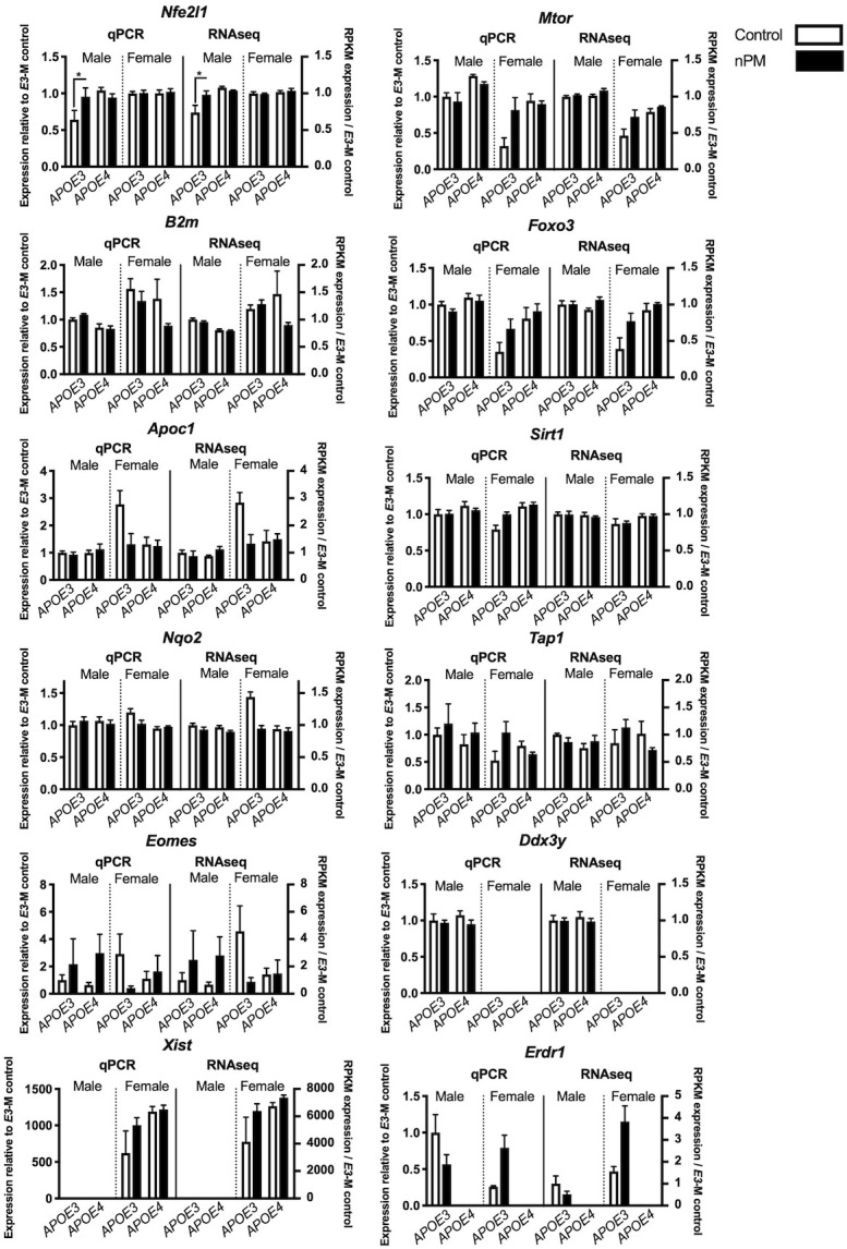 Figure 1—figure supplement 4.