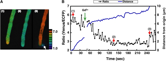 Figure 7.