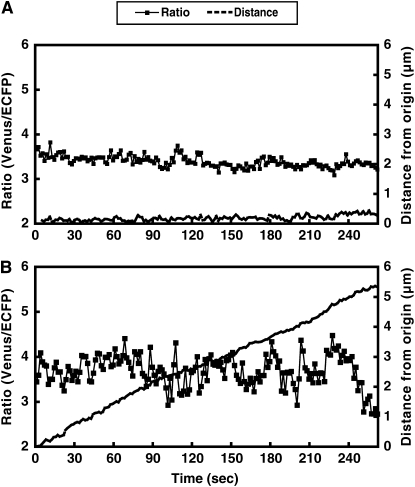 Figure 11.