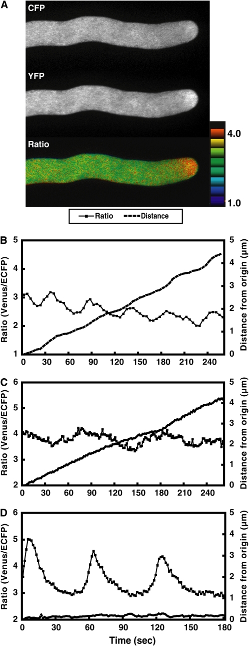 Figure 10.