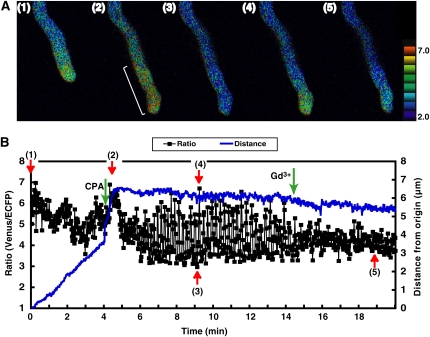 Figure 6.