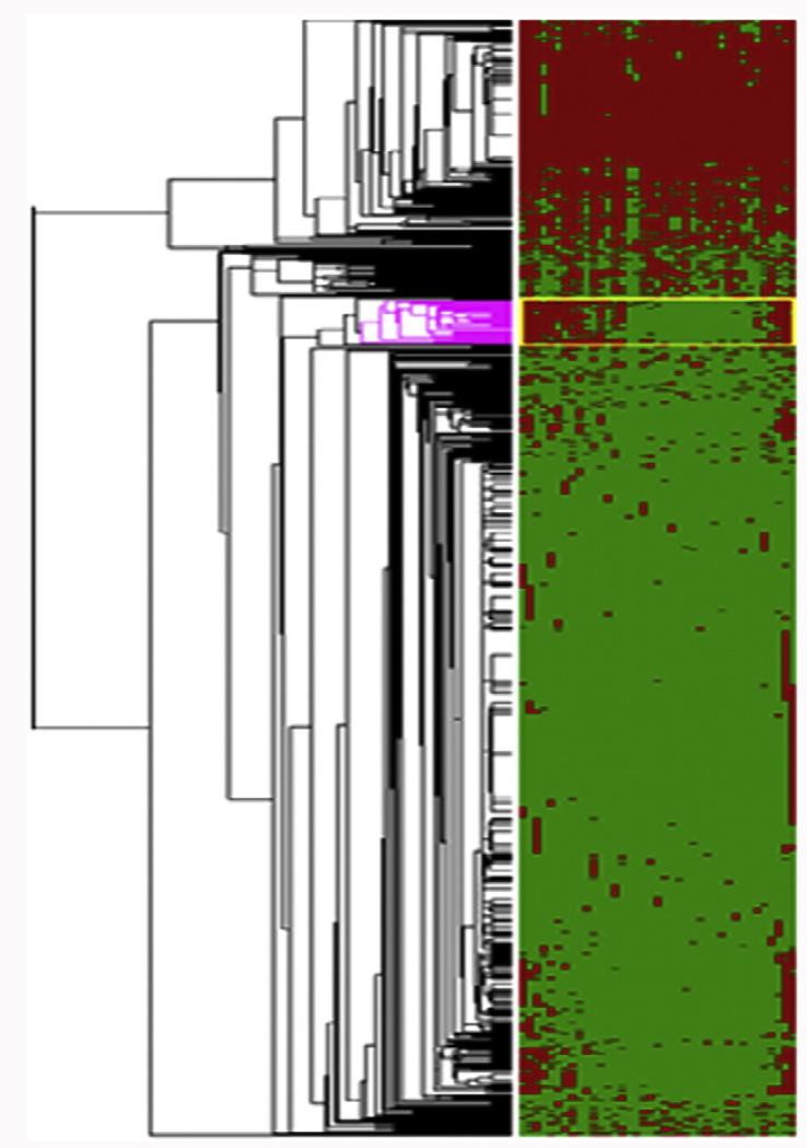 Fig. 3