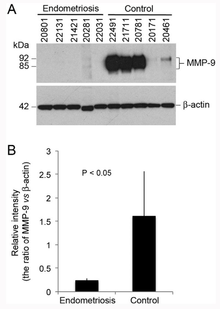 Fig. 5