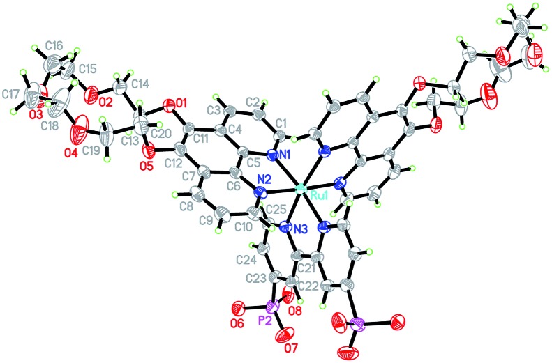 Fig. 2