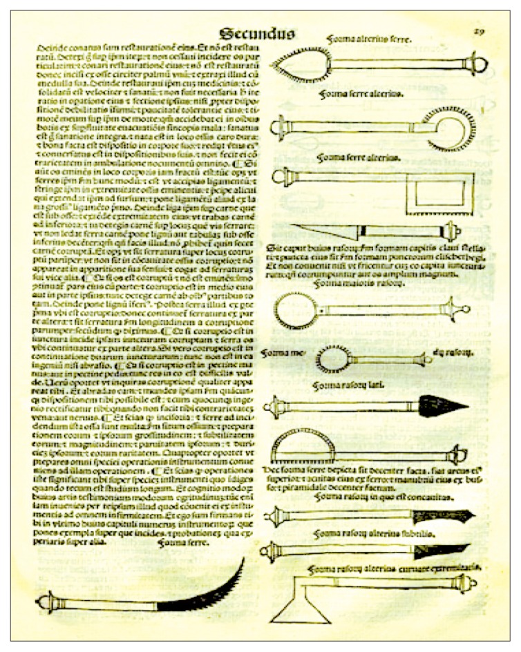 graphic file with name asm-3-220f1.jpg