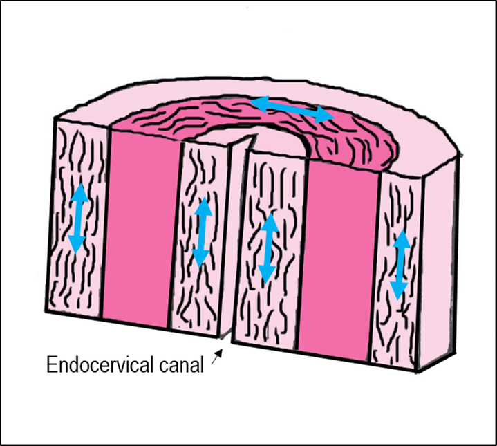 FIGURE 3: