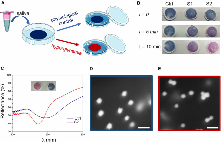 FIGURE 3