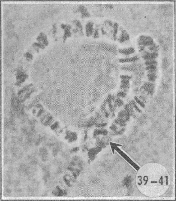 FIG. 7