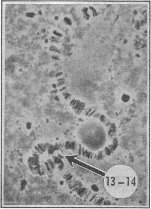 FIG. 5