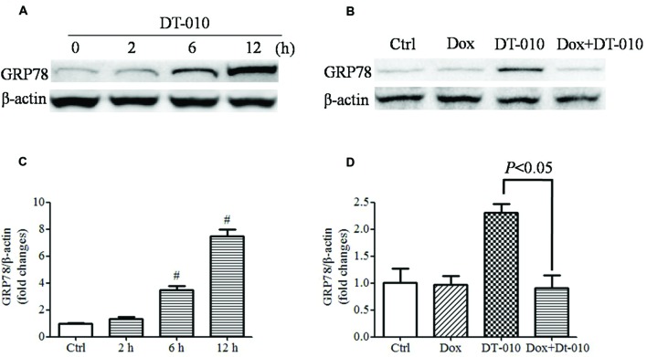 FIGURE 4