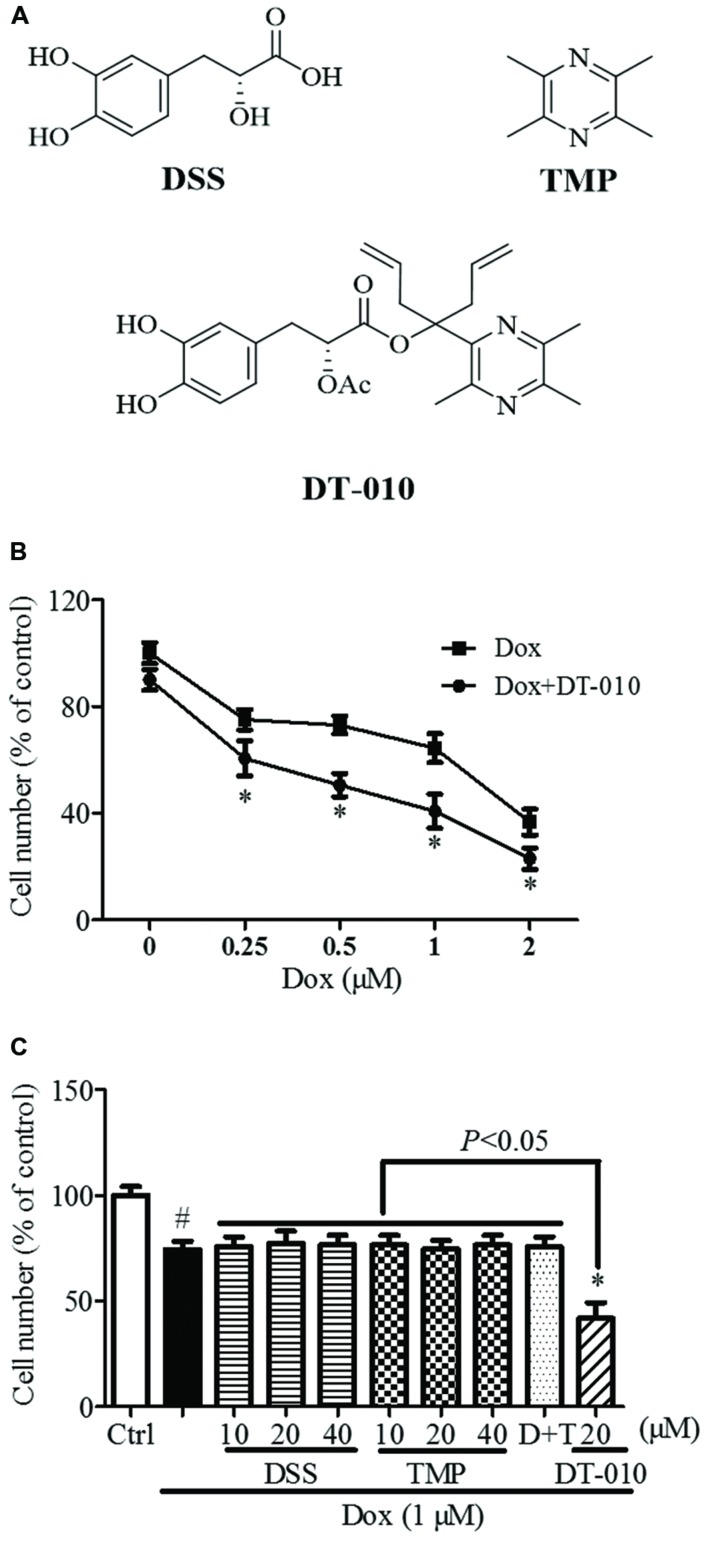 FIGURE 1