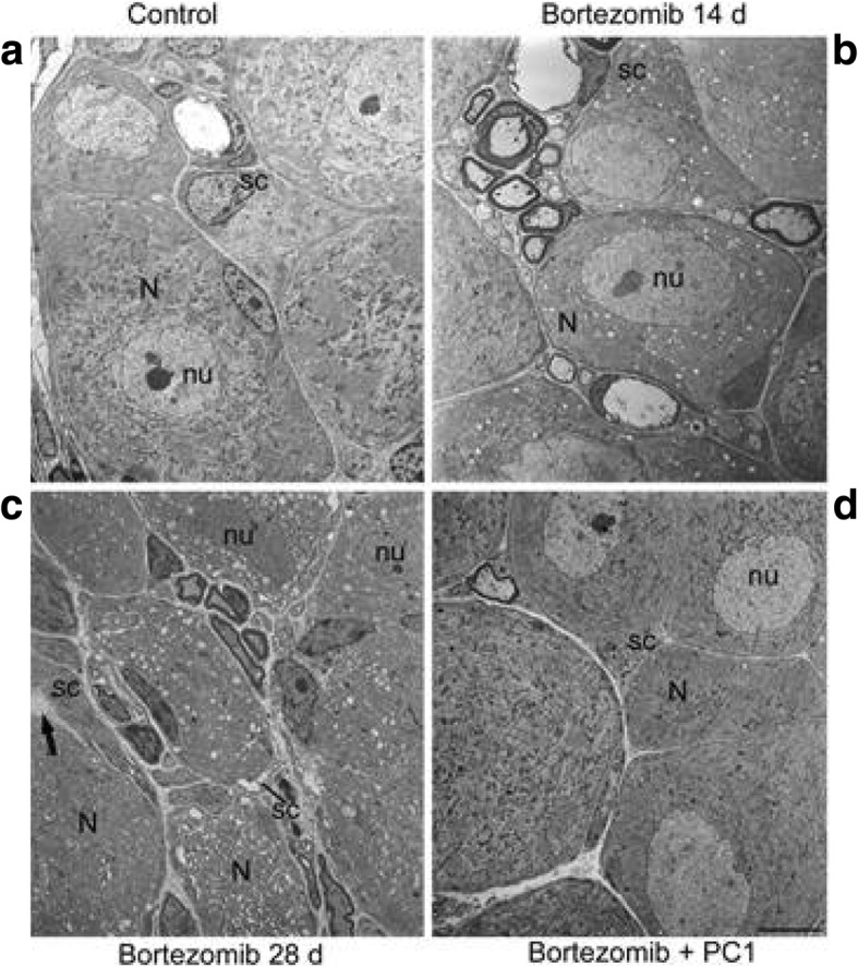 Fig. 8