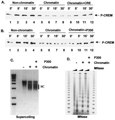 FIG. 6