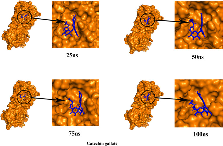 Fig. 10