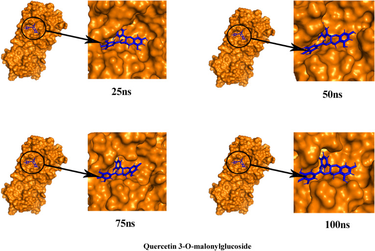 Fig. 11