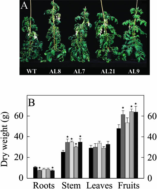 Figure 2.