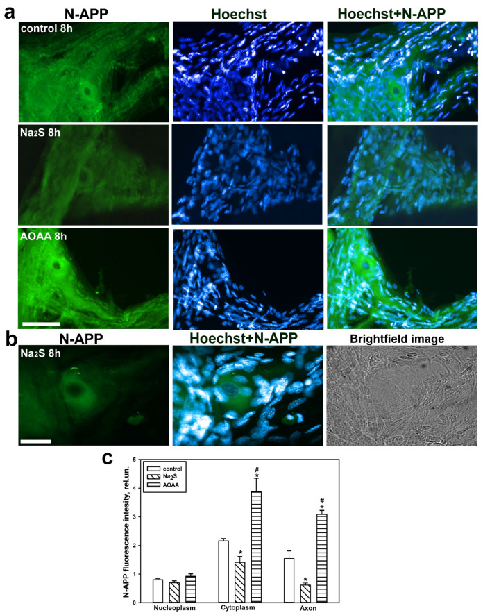 Figure 10