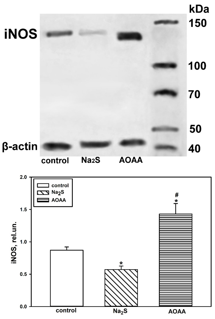 Figure 9