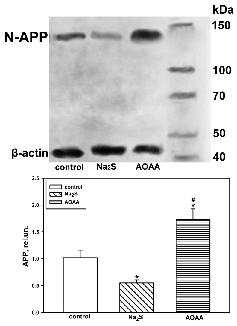 Figure 11