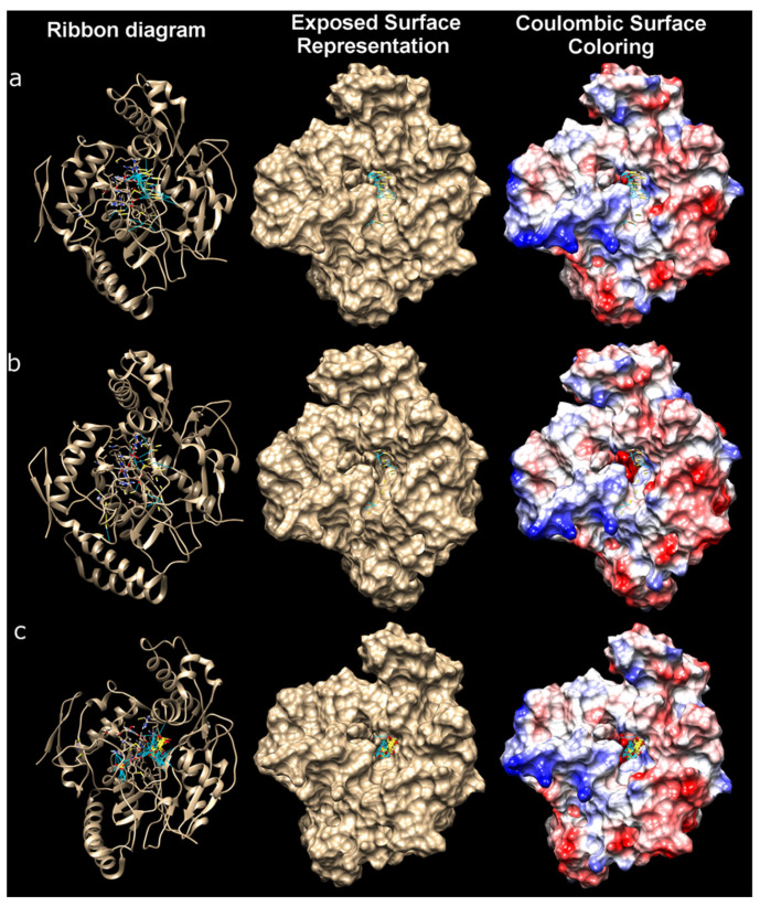Figure 15