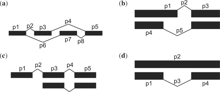 Fig. 2.