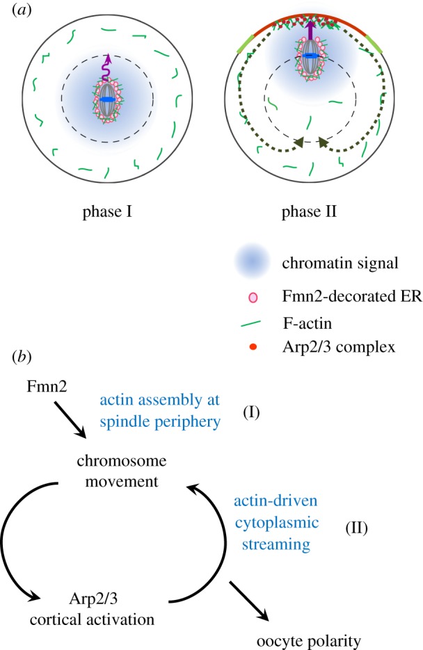 Figure 3.