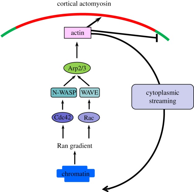 Figure 2.