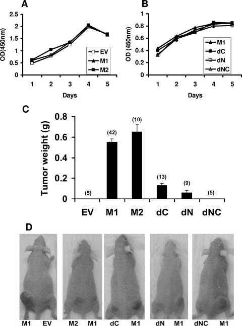 FIG. 6.