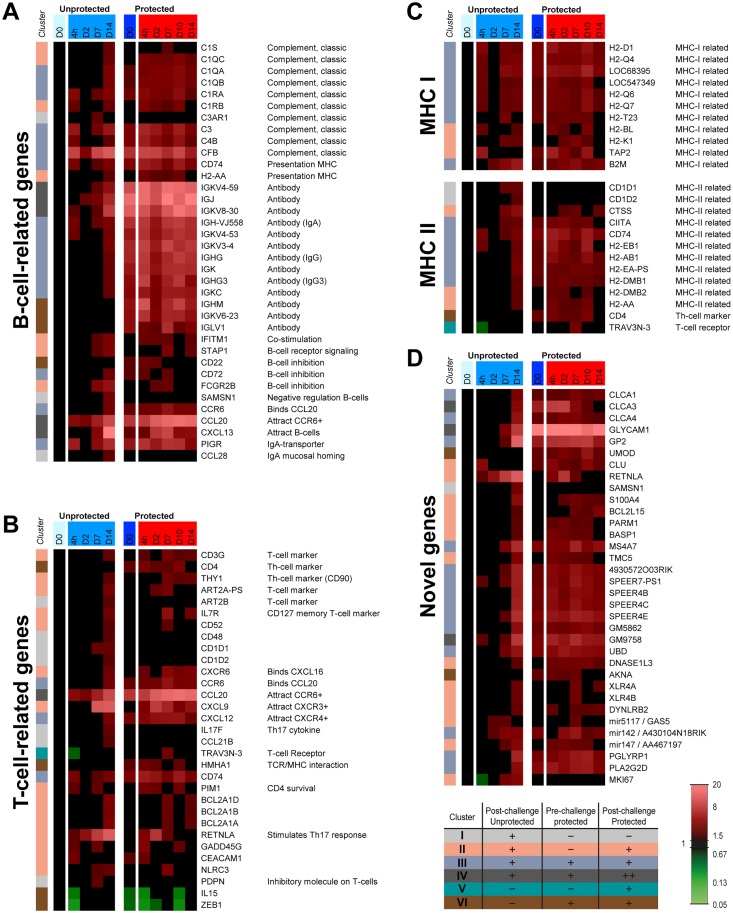 Fig 4