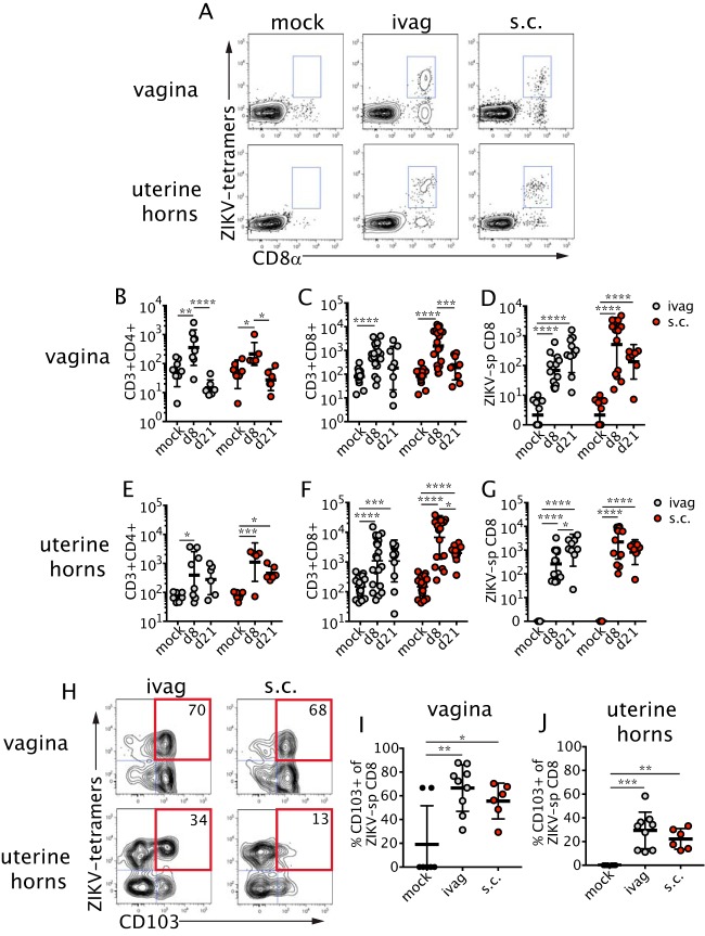 FIG 3