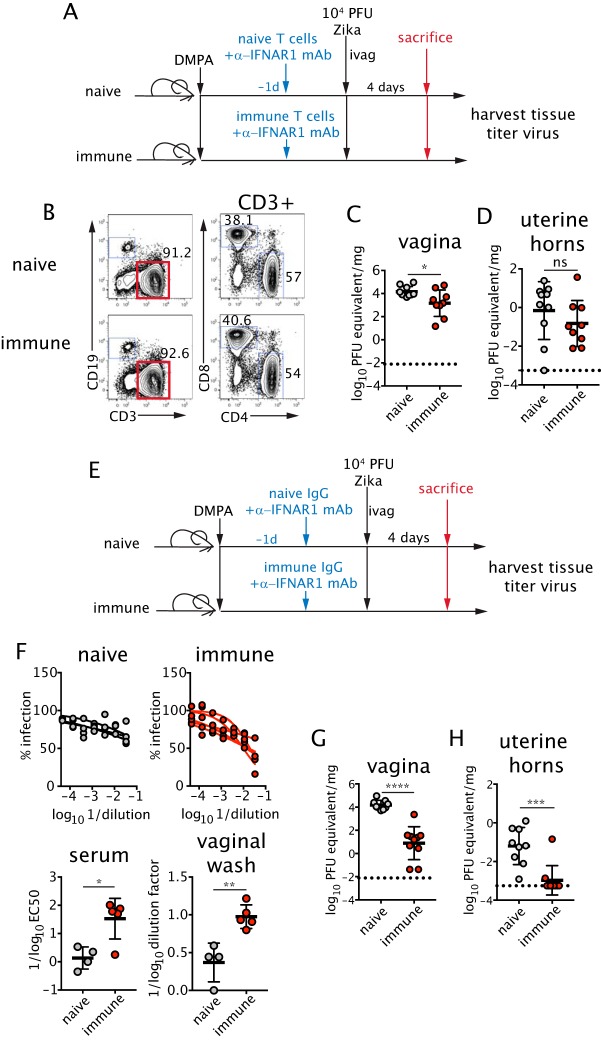 FIG 6