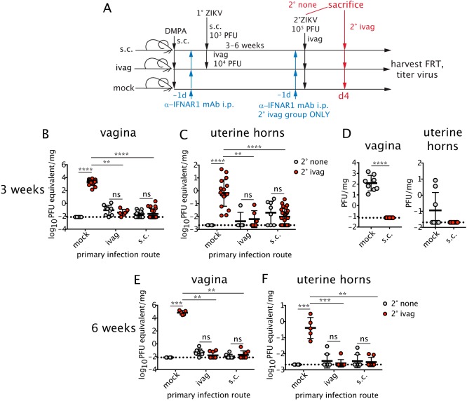 FIG 2