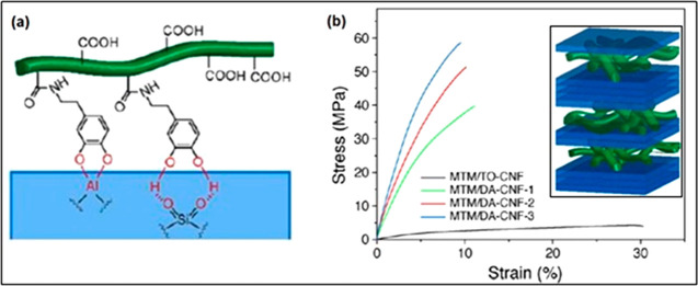 Figure 21